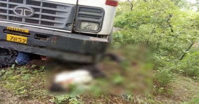 ब्रेकिंग : तेज रफ्तार ट्रक ने बाइक सवार तीन युवकों को रौंदा, 2 की मौके पर मौत, एक की हालत गंभीर ब्रेकिंग : तेज रफ्तार ट्रक ने बाइक सवार तीन युवकों को रौंदा, 2 की मौके पर मौत, एक की हालत गंभीर