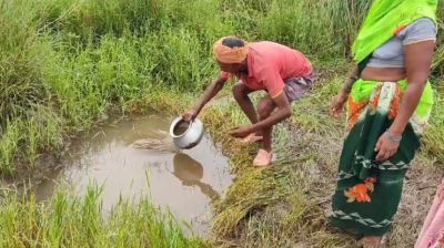 BREAKING: एक ही परिवार के 4 बैगाओं की मौत...जानिए क्या है पूरा  मामला 