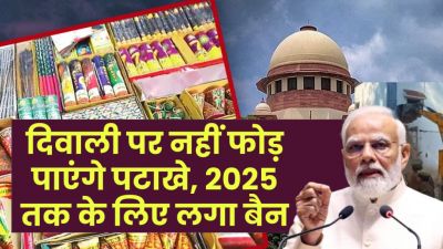वायु प्रदूषण के चलते एक्शन में सरकार, 1 जनवरी तक पटाखों पर लगाया प्रतिबंध वायु प्रदूषण के चलते एक्शन में सरकार, 1 जनवरी तक पटाखों पर लगाया प्रतिबंध
