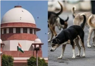 &ldquo;कुत्ते रहेंगे सड़क पर या शेल्टर में? आज सुप्रीम कोर्ट करेगा साफ़&rdquo;