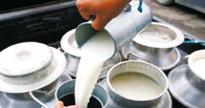 दूध के लिए MSP लाने का कोई प्रस्ताव नहीं: सरकार