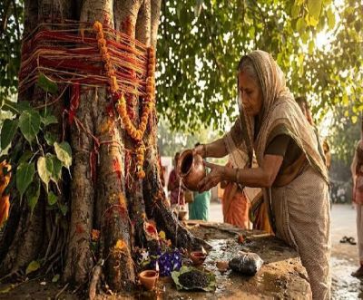 शनिवार को पीपल के पेड़ पर छाछ चढ़ाने की मान्यता, जानिए क्या है धार्मिक महत्व