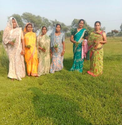 विशेष लेख : धमतरी मॉडल बना देश के लिए प्रेरणा